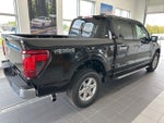 2025 F-150 Thumbnail 9