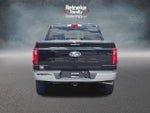 2024 F-150 Thumbnail 6
