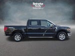2024 F-150 Thumbnail 4