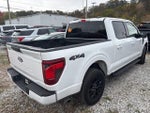 2024 F-150 Thumbnail 3