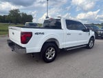 2024 F-150 Thumbnail 5