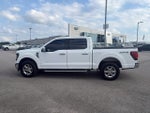 2024 F-150 Thumbnail 8