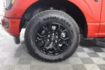 2024 F-150 Thumbnail 17