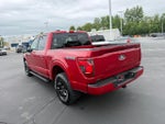 2024 F-150 Thumbnail 4