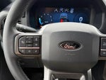 2024 F-150 Thumbnail 15