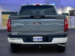 2024 F-150 Thumbnail 4
