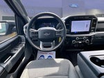 2024 F-150 Thumbnail 7