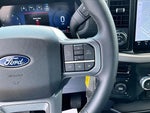 2024 F-150 Thumbnail 11