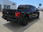 2025 F-150 Thumbnail 4