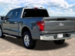 2025 F-150 Thumbnail 5