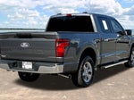 2025 F-150 Thumbnail 8
