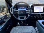 2025 F-150 Thumbnail 11
