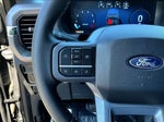 2025 F-150 Thumbnail 13