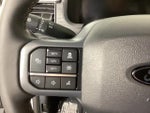 2025 F-150 Thumbnail 19