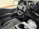 2025 F-150 Thumbnail 24