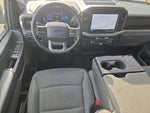 2025 F-150 Thumbnail 11