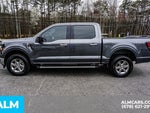 2025 F-150 Thumbnail 6