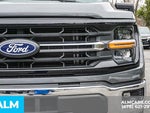 2025 F-150 Thumbnail 10