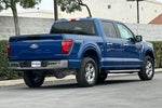2025 F-150 Thumbnail 4