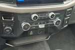 2025 F-150 Thumbnail 19