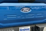 2025 F-150 Thumbnail 24