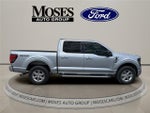 2025 F-150 Thumbnail 4