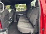 2025 F-150 Thumbnail 10