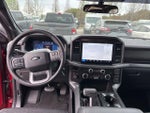2025 F-150 Thumbnail 11