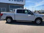 2025 F-150 Thumbnail 2