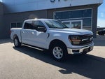 2025 F-150 Thumbnail 3