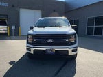 2025 F-150 Thumbnail 4