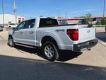 2025 F-150 Thumbnail 7