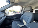 2025 F-150 Thumbnail 20