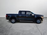 2024 F-150 Thumbnail 6