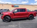 2024 F-150 Thumbnail 6