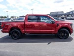 2024 F-150 Thumbnail 11