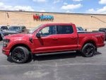 2024 F-150 Thumbnail 6