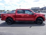 2024 F-150 Thumbnail 11
