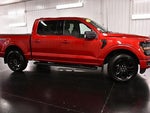 2024 F-150 Thumbnail 8