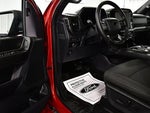 2024 F-150 Thumbnail 18