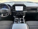 2024 F-150 Thumbnail 11