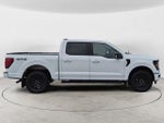 2024 F-150 Thumbnail 4