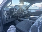 2024 F-150 Thumbnail 6