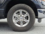 2024 F-150 Thumbnail 8