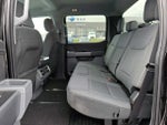2024 F-150 Thumbnail 10
