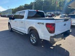 2024 F-150 Thumbnail 7