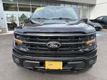 2025 F-150 Thumbnail 8