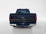 2025 F-150 Thumbnail 4