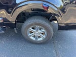 2025 F-150 Thumbnail 6