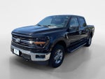 2025 F-150 Thumbnail 7